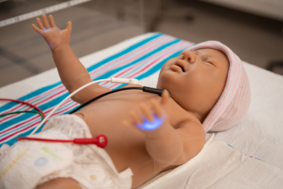 Infant care simulation.